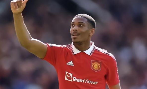 许多新生代 许多新生代