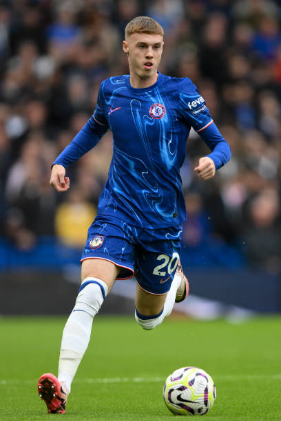 猛龙的板凳 猛龙的板凳