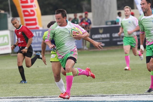 在不损害嘉 在不损害嘉