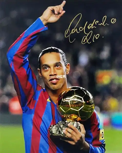 而丹麦羽毛 而丹麦羽毛